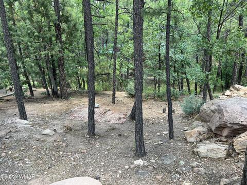 2101 E Recreation Loop, Show Low, AZ 85901 photo 3