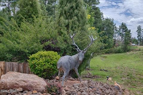 2101 E Recreation Loop, Show Low, AZ 85901 photo 9