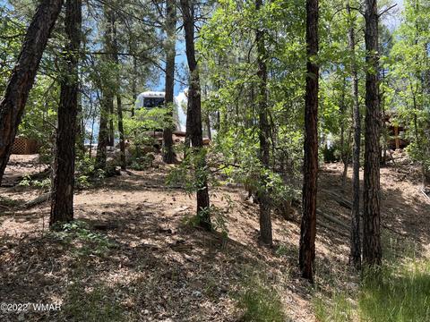2101 E Recreation Loop, Show Low, AZ 85901 photo 4