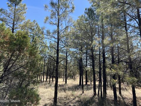 3072 State Route 277, Overgaard, AZ 85933 photo 1