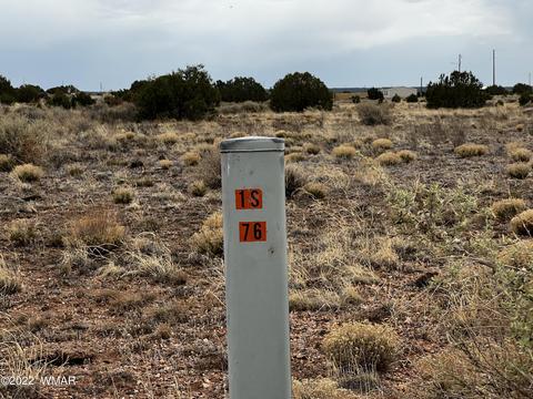 4578 Sorrel Rd, Snowflake, AZ 85937 photo 4