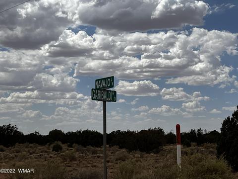 4578 Sorrel Rd, Snowflake, AZ 85937 photo 5