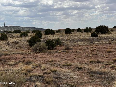 4578 Sorrel Rd, Snowflake, AZ 85937 photo 2