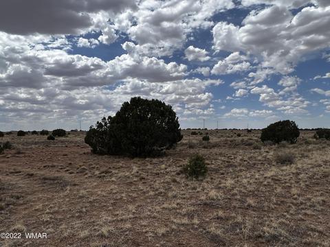 4578 Sorrel Rd, Snowflake, AZ 85937 photo 1
