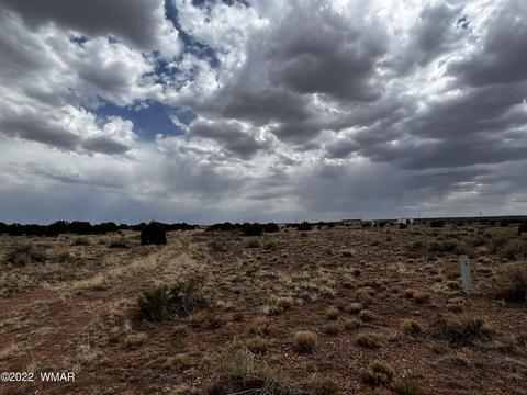 4578 Sorrel Rd, Snowflake, AZ 85937 photo 3