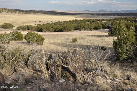 28 County Road 8627, Concho, AZ 85924