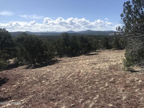 Tbd Lot G 404-52-013g, Show Low, AZ 85901