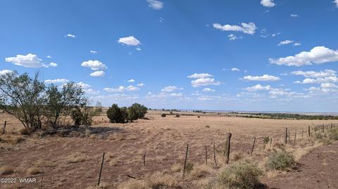 14 Acres St Johns, Saint Johns, AZ 85936