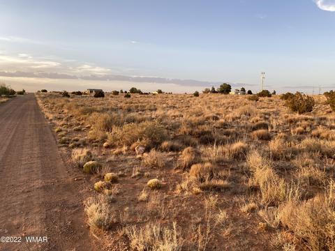 218 Crestview Dr, Snowflake, AZ 85937 photo 6
