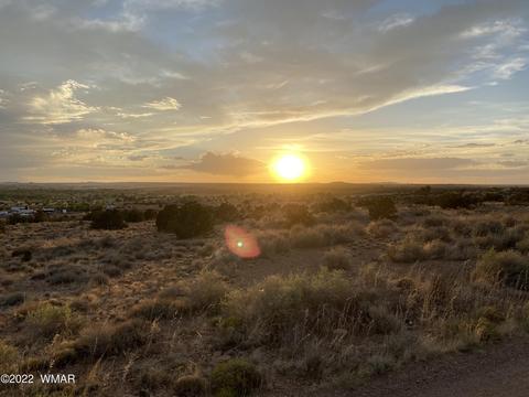 218 Crestview Dr, Snowflake, AZ 85937 photo 5