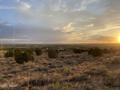 218 Crestview Dr, Snowflake, AZ 85937 photo 9