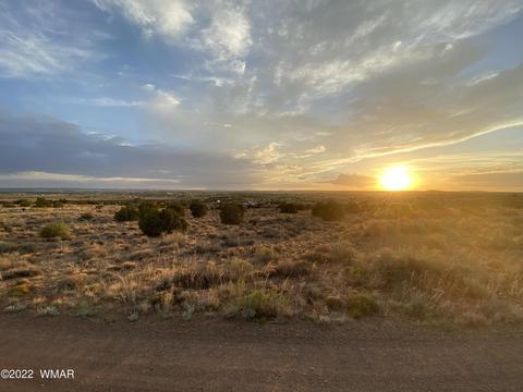 218 Crestview Dr, Snowflake, AZ 85937 photo 10