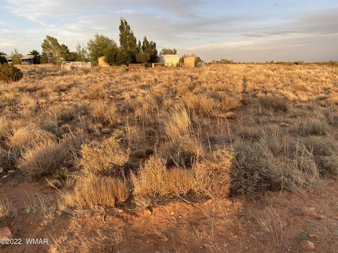 218 Crestview Dr, Snowflake, AZ 85937 photo 4