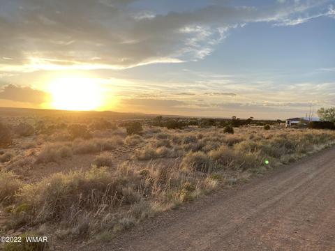 218 Crestview Dr, Snowflake, AZ 85937 photo 2