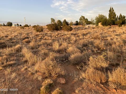 218 Crestview Dr, Snowflake, AZ 85937 photo 7