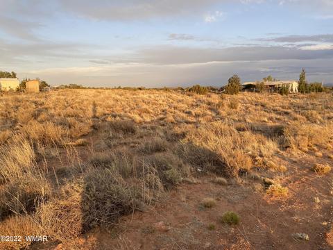 218 Crestview Dr, Snowflake, AZ 85937 photo 8