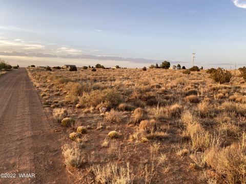 218 Crestview Dr, Snowflake, AZ 85937 photo 3