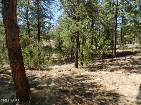 2353 Immelman Cir, Overgaard, AZ 85933 photo 9