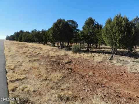 2353 Immelman Cir, Overgaard, AZ 85933 photo 12