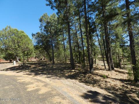 2353 Immelman Cir, Overgaard, AZ 85933 photo 6
