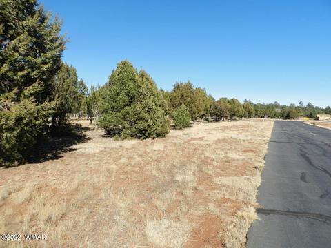2353 Immelman Cir, Overgaard, AZ 85933 photo 14