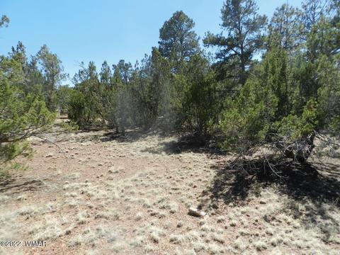 2353 Immelman Cir, Overgaard, AZ 85933 photo 10