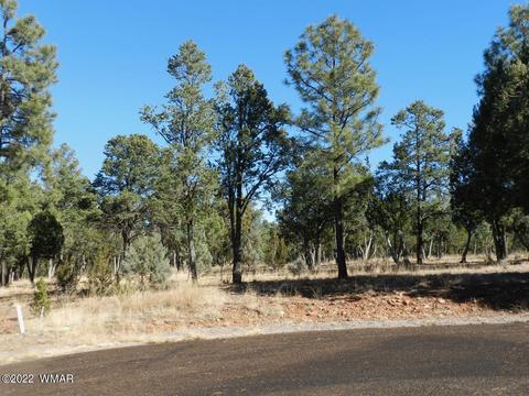 2353 Immelman Cir, Overgaard, AZ 85933 photo 3