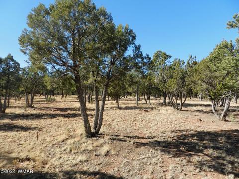 2353 Immelman Cir, Overgaard, AZ 85933 photo 8