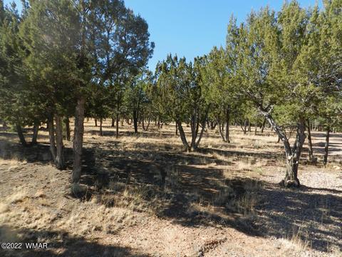 2353 Immelman Cir, Overgaard, AZ 85933 photo 5