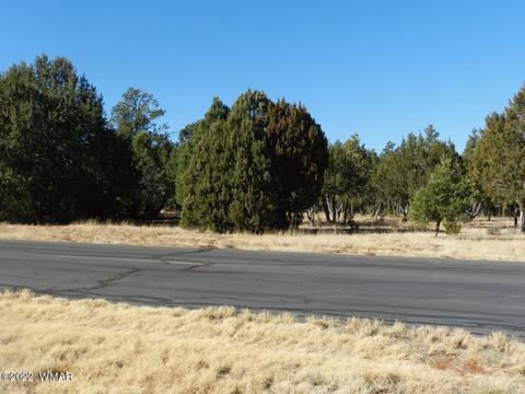 2353 Immelman Cir, Overgaard, AZ 85933 photo 13