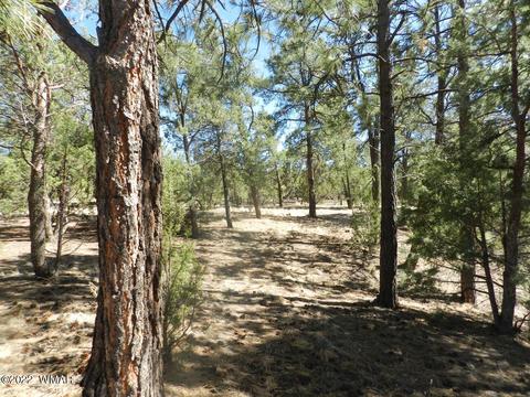 2353 Immelman Cir, Overgaard, AZ 85933 photo 11