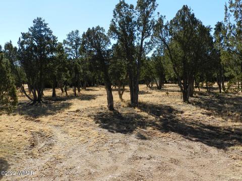 2353 Immelman Cir, Overgaard, AZ 85933 photo 7