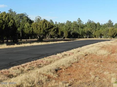 2353 Immelman Cir, Overgaard, AZ 85933 photo 15