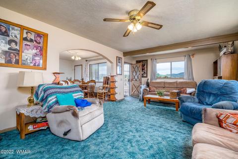 1599 E Becker Lane Rd, Springerville, AZ 85938 photo 14