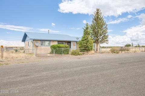 1599 E Becker Lane Rd, Springerville, AZ 85938 photo 3