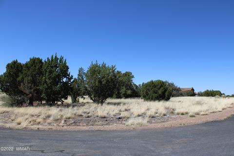 2511 Rock View Dr, Show Low, AZ 85901
