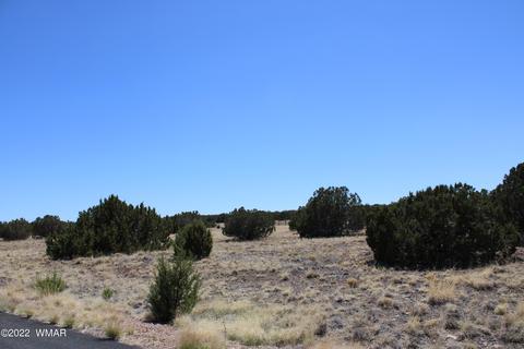 2524 Rock View Dr, Show Low, AZ 85901