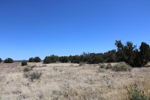 7655 Del Rio Dr, Show Low, AZ 85901
