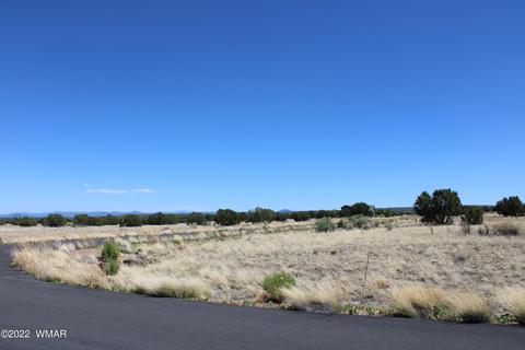 7673 Arroyo Plata Dr, Show Low, AZ 85901