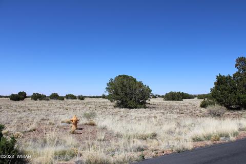 7700 Del Rio Dr, Show Low, AZ 85901