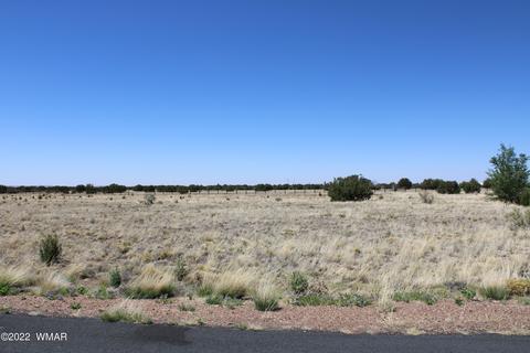 7708 Arroyo Plata Dr, Show Low, AZ 85901