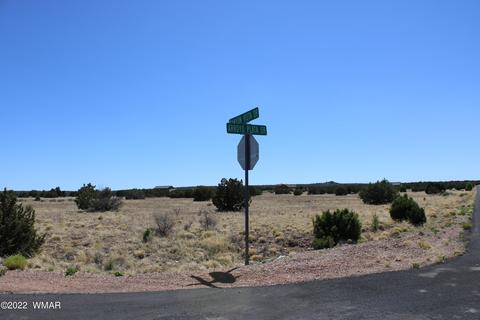 7709 Arroyo Plata Dr, Show Low, AZ 85901