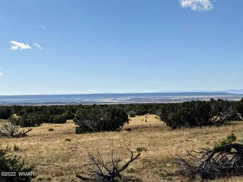 lot554 Woodland Valley Rnch, Saint Johns, AZ 85936