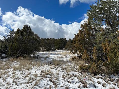 lot91 Ranch Rd, Vernon, AZ 85940