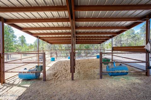 3359 Apache Dr, Overgaard, AZ 85933 photo 20