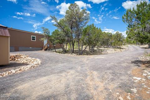 3359 Apache Dr, Overgaard, AZ 85933 photo 27