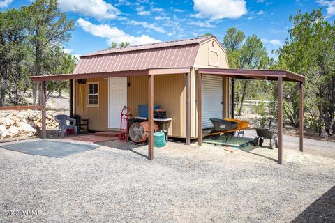 3359 Apache Dr, Overgaard, AZ 85933 photo 23