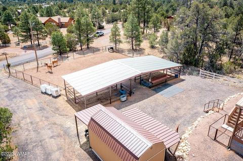 3359 Apache Dr, Overgaard, AZ 85933 photo 37