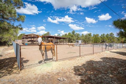 3359 Apache Dr, Overgaard, AZ 85933 photo 29