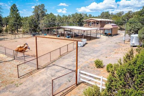 3359 Apache Dr, Overgaard, AZ 85933 photo 21